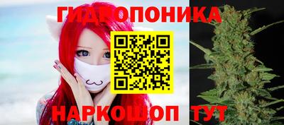PSILOCYBIN Беслан