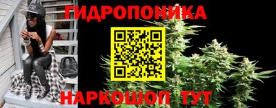эйфоретик Берёзовский