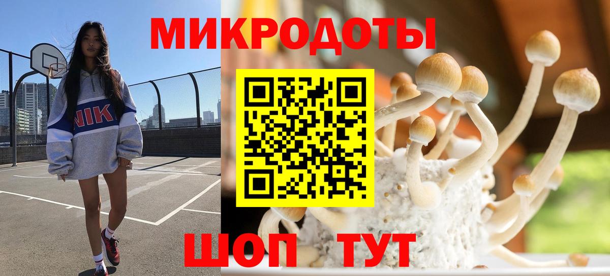 Галлюциногенные грибы Magic Shrooms  Вход с VPN  Псилоцибиновые грибы мухоморы  Кировск 